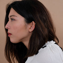 Load image into Gallery viewer, Classic Hook Earrings in Sterling Silver