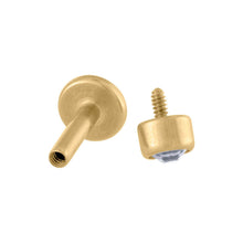Load image into Gallery viewer, FALSE