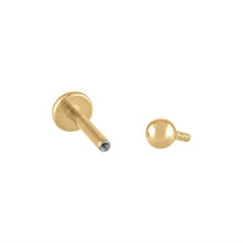 Load image into Gallery viewer, FALSE

